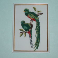 Работа «Серия"Птицы"»