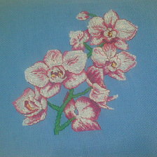 Работа «Орхидея»