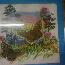 Работа «бабочки(2)»