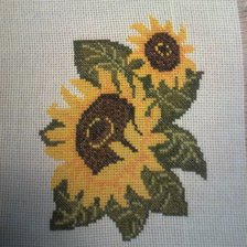 Работа «Подсолнухи2»