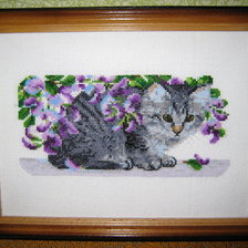 Работа «Китти»