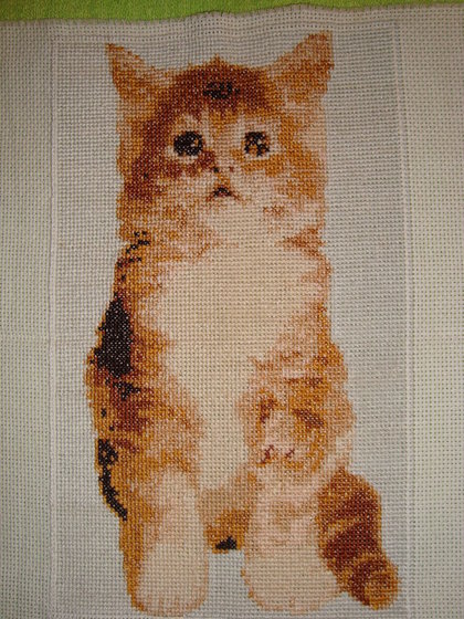 Работа «№5709»