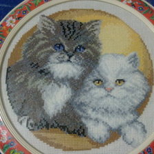 Работа «котята»