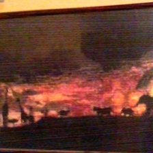 Работа «сафари»