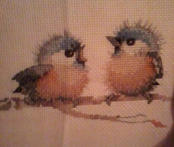 Работа «птахи 2»