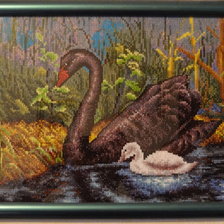 Работа «Черный лебедь»