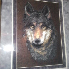 Работа «волк»