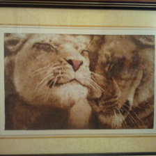 Работа «Влюбленные львы»