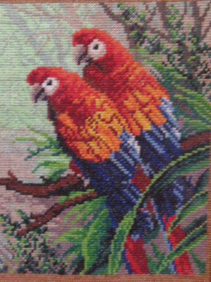 Работа «попугайчики»