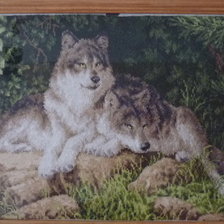 Работа «волки»