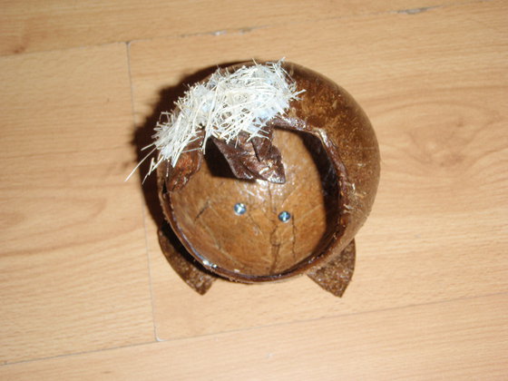 Работа «поделка из кокосовой кожуры Шкатулка»