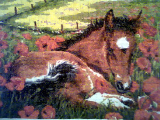 Работа «№13921»