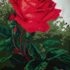 Работа «Розочка!!!»