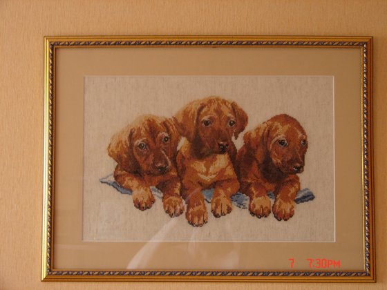 Работа «Таксы»