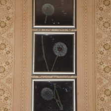 Работа «Триптих Одуванчики»