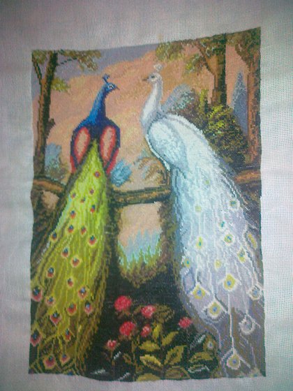 Работа «павлины»