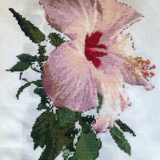 Работа «Гибискус»