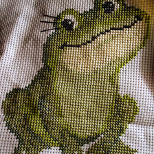 Работа «моя Жаба»