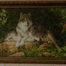 Работа «ЗОЛОТОЕ РУНО "ЛЕСНЫЕ ХИЩНИКИ"»