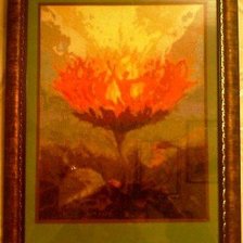 Работа «Огненный цветок Сальвадора Дали»