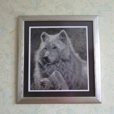 Работа «Волк.»