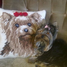 Работа «Вышитая подушка с Трикси»