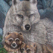 Работа «Волчица  с волчатами....!!!»