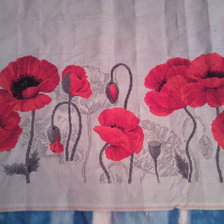 Работа «маки риолис»