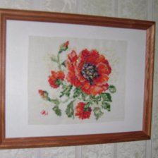 Работа «маки»