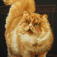 Работа «Кот»