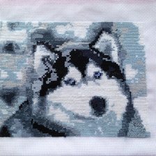 Работа «лучший друг человека)»