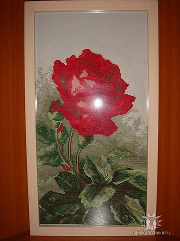 Работа «№21833»