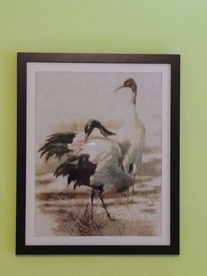 Работа «№23507»