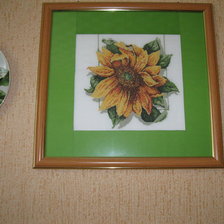 Работа «№23529»