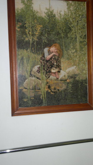 Работа «alionushka»