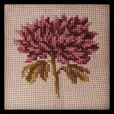 Работа «№24164»