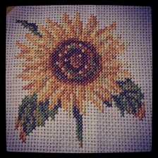 Работа «№24622»