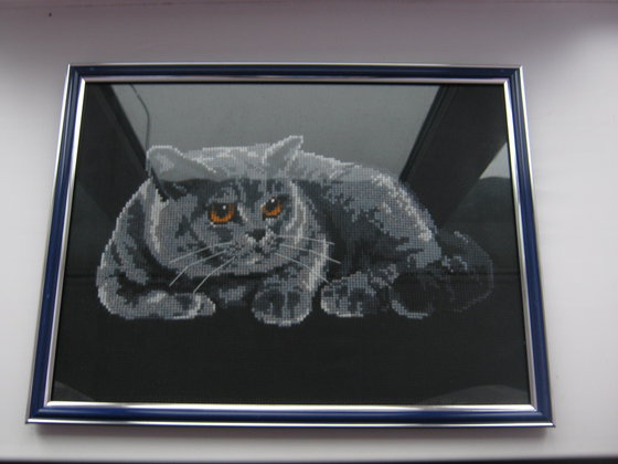 Работа «№24988»