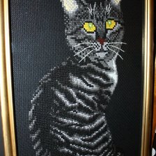 Работа «Кошка Бася»