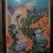 Работа «попугаи в подсолнухах»