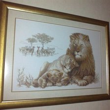 Работа «семейство львов»