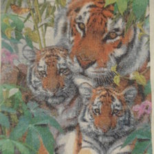 Работа «тигры»