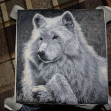 Работа «Spring break»