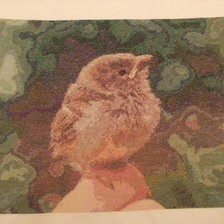 Работа «№28215»