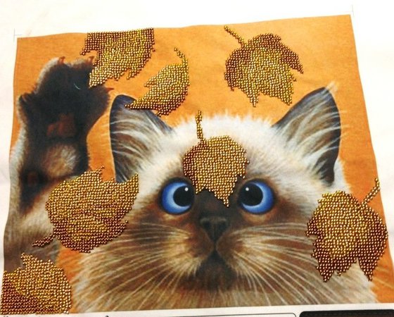 Работа «CAT's play.»