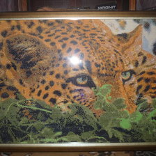 Работа «леопард»