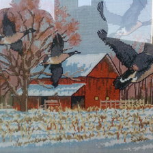 Работа «№29164»