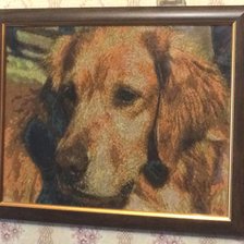 Работа «Собакин)»