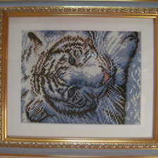 Работа «Бенгальский тигр»