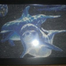 Работа «дельфины»